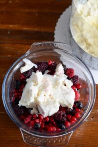 Vacherin Torte für die Feiertage DSC_6008-200x300