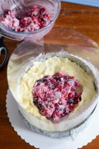Vacherin Torte für die Feiertage DSC_6010 200x300