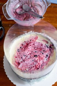Vacherin Torte für die Feiertage DSC_6011 200x300