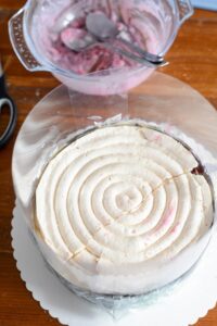 Vacherin Torte für die Feiertage DSC_6014 200x300