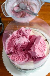Vacherin Torte für die Feiertage DSC_6016 200x300