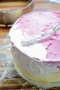 Vacherin Torte für die Feiertage DSC_6026 200x300