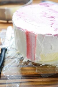 Vacherin Torte für die Feiertage DSC_6028 200x300