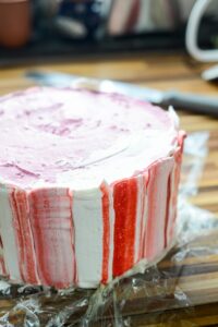 Vacherin Torte für die Feiertage DSC_6031 200x300