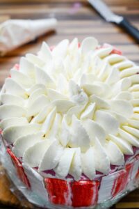 Vacherin Torte für die Feiertage DSC_6033 200x300