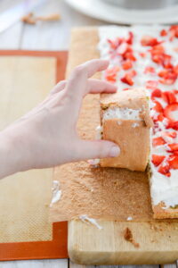 Rollkuchen mal anders mit Erdbeeren und Basilikum DSC_9960 200x300