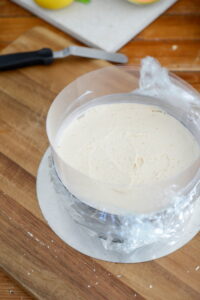 Melonen-Kokos-Torte DSC_0496 200x300
