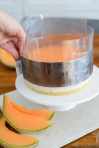 Melonen-Kokos-Torte DSC_0511 200x300