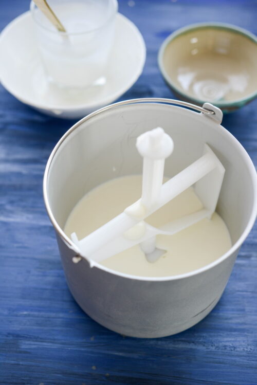 Joghurteis ganz einfach mit der Eismaschine Rezept