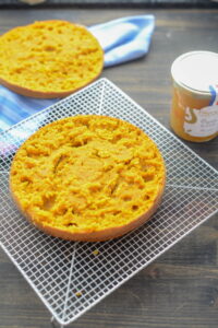 Süßkartoffelkuchen mit Orangen und vielen Vitaminen DSC_2013 200x300