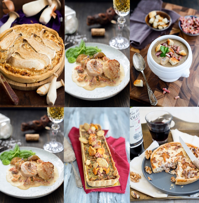 Pilz Rezepte Sammlung 