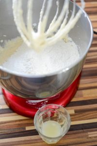 Saftiger Joghurt-Sommerkuchen mit Beeren: Tutti-Frutti-Kuchen DSC_4575 200x300 1