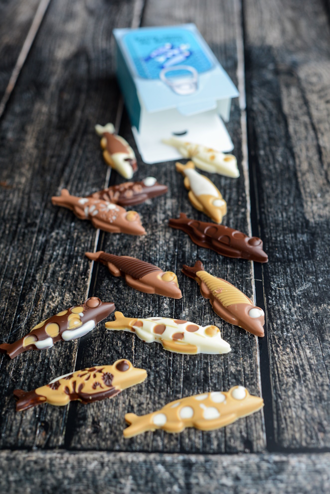 Schokoladen Sardinen sardinen-aus-schokolade-selber-machen