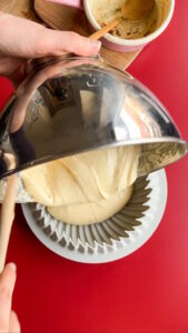 Quatre-quarts mit Vanille Gleichschwerkuchen Rezept Schritt 18 Teig Unter Glasglocke Ruhen