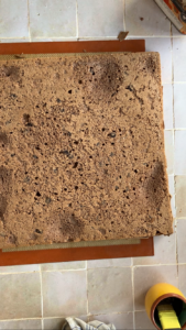 Milchschnitten-Schoko-Torte Milchschnitten Torte Mit Schokolade 7 169x300