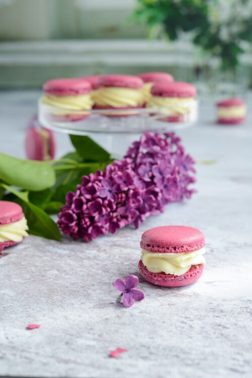 Macarons mit Eiweißpulver Rezept