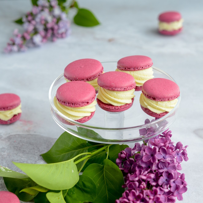 Macarons mit Eiweißpulver