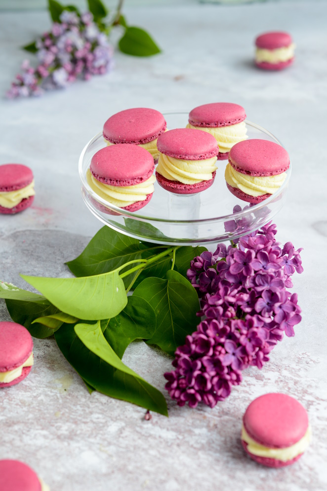 Macarons mit Eiweißpulver macarons-mit-eiweisspulver-rezept