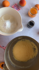Aprikosenkuchen einfach und saftig Aprikosenkuchen Einfach Und Saftig 8 169x300