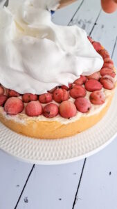 Stachelbeer-Käsekuchen mit Baiser – Einfaches Sommerrezept Stachelbeerkuchen Mit Baiser 2 169x300