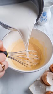 Cremiges Kokoseis mit und ohne Eismaschine Cremiges Kokoseis 9 169x300