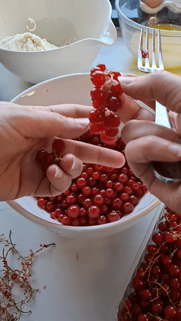  Wie Enthielt Man Johannisbeeren Einfach