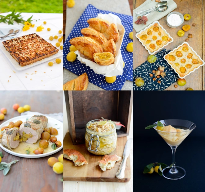  Mirabelle Rezepte 1