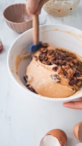 Rumkuchen mit Trockenobst und Nüssen 20251112_0928552 169x300