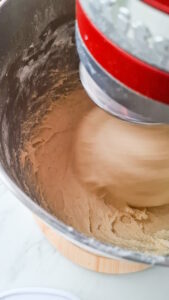 Pandoro: Italienische Weihnachtsbrioche ganz einfach Pandoro: Italienische Weihnachtsbrioche ganz einfach Pandoro Rezept Einfach Backen 10 169x300