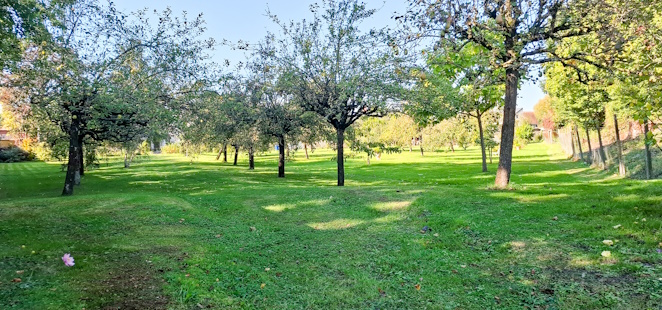 „Le Terroir“ – Warum der Geschmack Frankreichs eine Seele hat? 20241003_144943