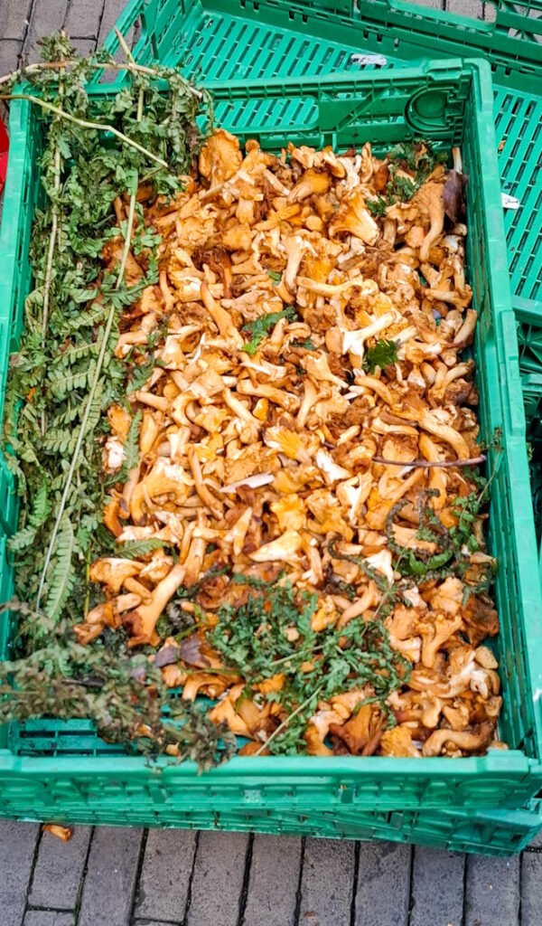 „Le Terroir“ – Warum der Geschmack Frankreichs eine Seele hat? 20241005_1033372 600x1024