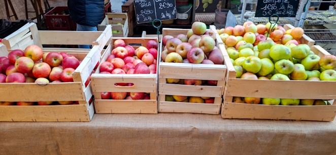 „Le Terroir“ – Warum der Geschmack Frankreichs eine Seele hat? 20241005_1034480