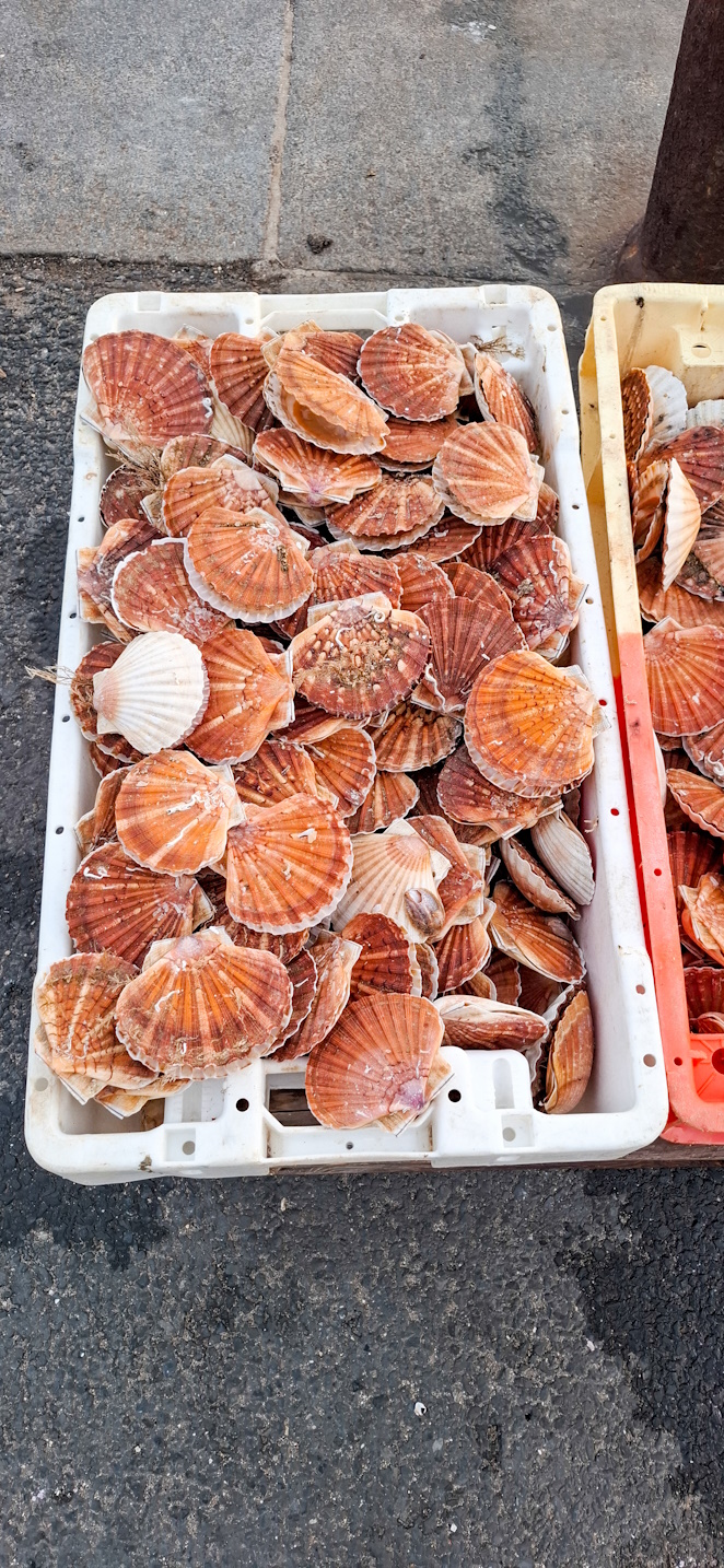  Terroir Feinkost Frankreich