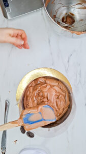 Schokotorte ohne Backen – schnell gemacht Mousse Au Chocolat Torte Ohne Backen 6 169x300