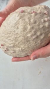 Bierbrot mit Speck Bierbrot Roggen Mit Speck Einfach Backen 7 169x300