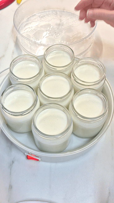 Protein-Joghurt selber machen Feste Jogurth Machen