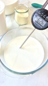 Protein-Joghurt selber machen Jogurth Fester Machen Eiweiss 6 169x300