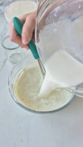 Protein-Joghurt selber machen Jogurth Fester Machen Eiweiss 8 169x300