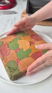 Papageienkuchen Papageienkuchen 10 169x300