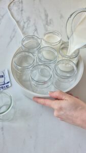 Protein-Joghurt selber machen Protein-Joghurt selber machen Protein Jogurth Fester Machen Eiweiss 2 169x300