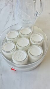 Protein-Joghurt selber machen Protein-Joghurt selber machen Protein Jogurth Fester Machen Eiweiss 3 169x300