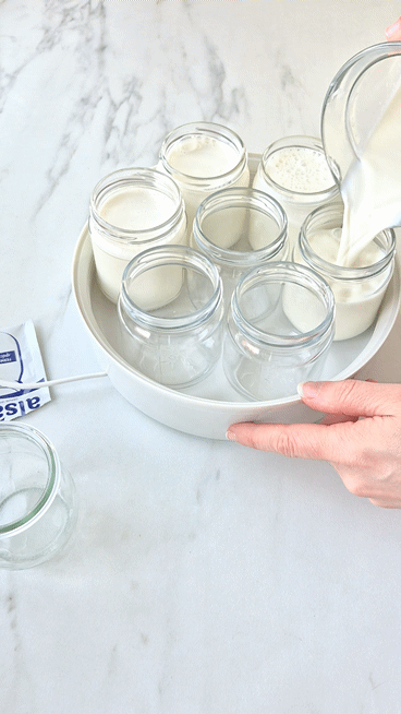 Protein-Joghurt selber machen Protein Jogurth Fester Machen Eiweiss Einfach