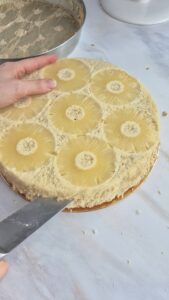 Kokos-Ananas-Torte (laktosefrei) Kokos Ananas Kuchen Mit Creme 1 169x300