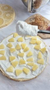 Kokos-Ananas-Torte (laktosefrei) Kokos Ananas Kuchen Mit Creme 10 169x300