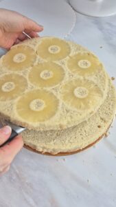 Kokos-Ananas-Torte (laktosefrei) Kokos Ananas Kuchen Mit Creme 2 169x300