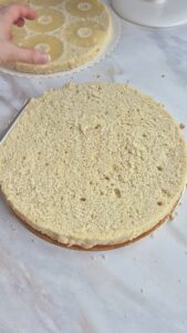 Kokos-Ananas-Torte (laktosefrei) Kokos Ananas Kuchen Mit Creme 3 169x300