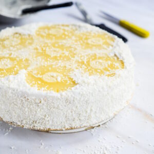 Kokos-Ananas-Torte (laktosefrei)