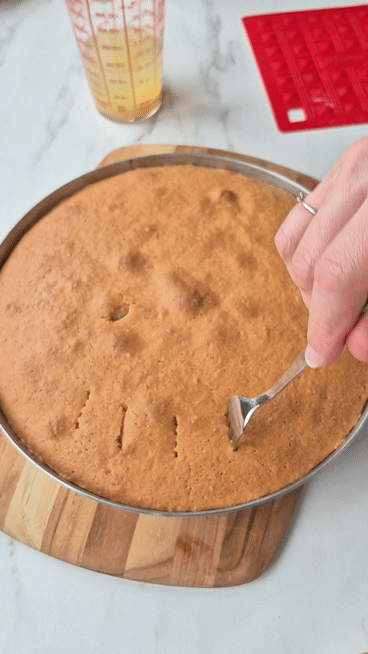 Kokos-Ananas-Torte (laktosefrei) Kokosnuss Kuchen