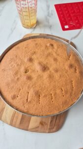 Kokos-Ananas-Torte (laktosefrei) Pina Colada Torte Kokos Ananas 6 169x300