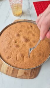 Kokos-Ananas-Torte (laktosefrei) Pina Colada Torte Kokos Ananas 7 169x300